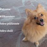 Willkommen