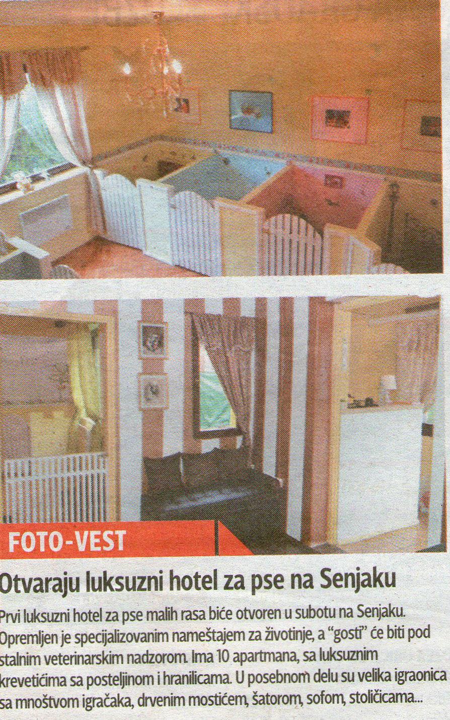 GP Press Clipping – Online portals